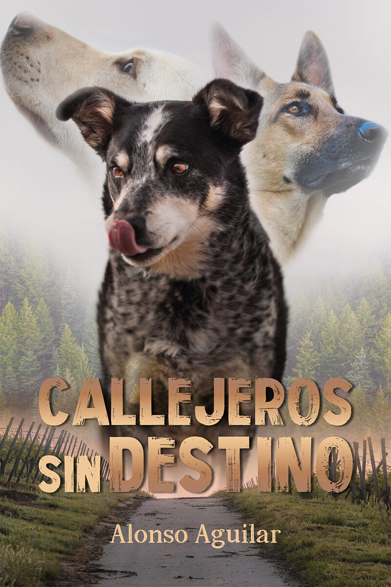 Portada de Callejeros sin destino · Alonso Aguilar