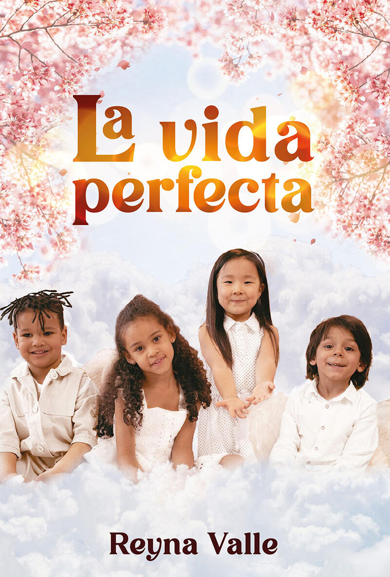 Portada de La vida perfecta · Reyna Valle
