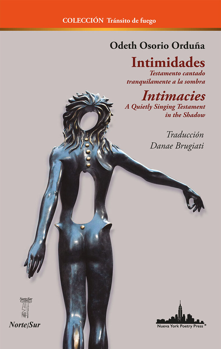 Portada de Intimidades. / Intimacies.