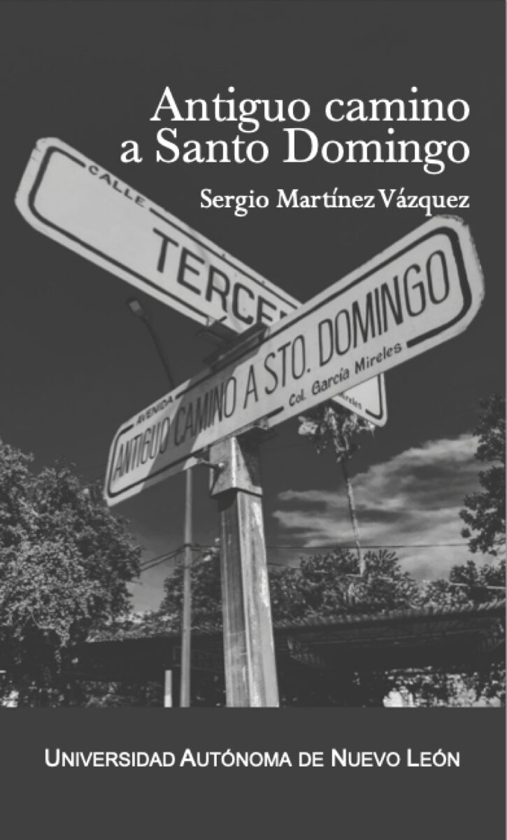 Portada de Antiguo camino a Santo Domingo · Sergio Martinez Vazquez