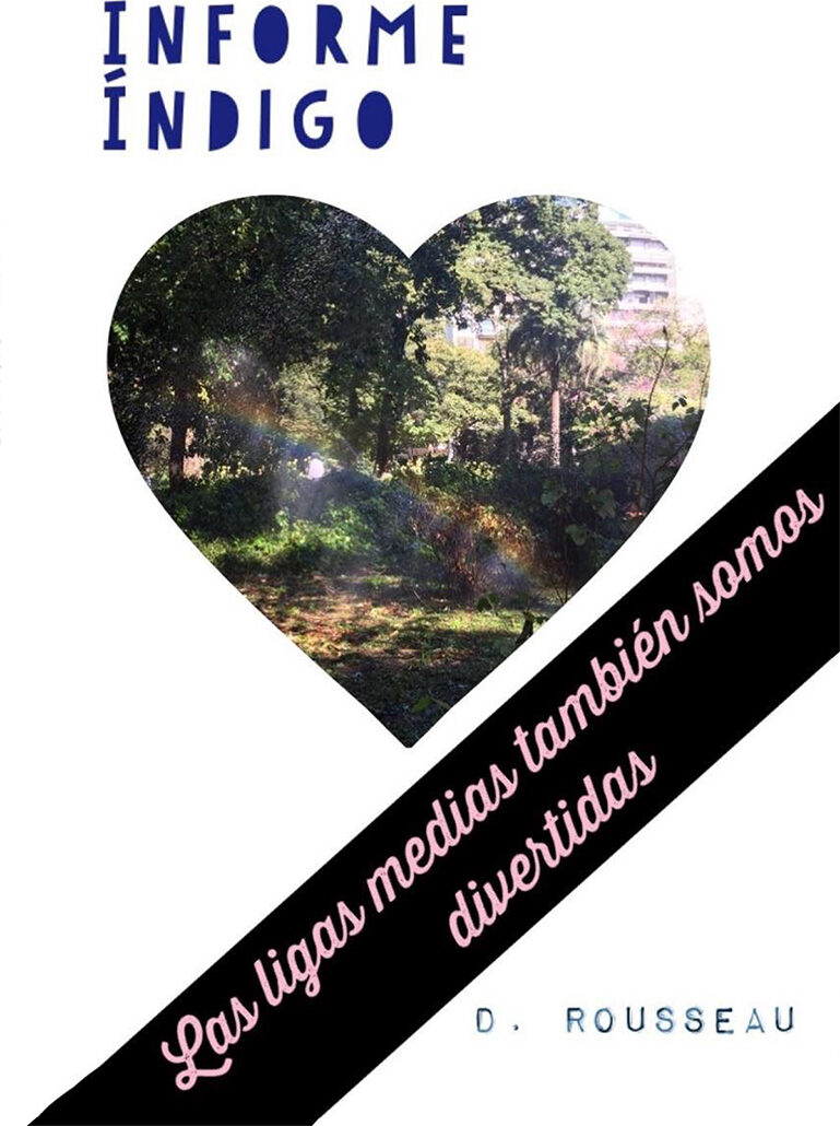 Portada de Informe índigo
