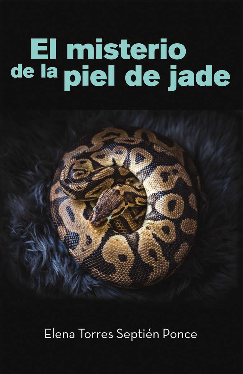 Portada de El misterio de la piel de Jade