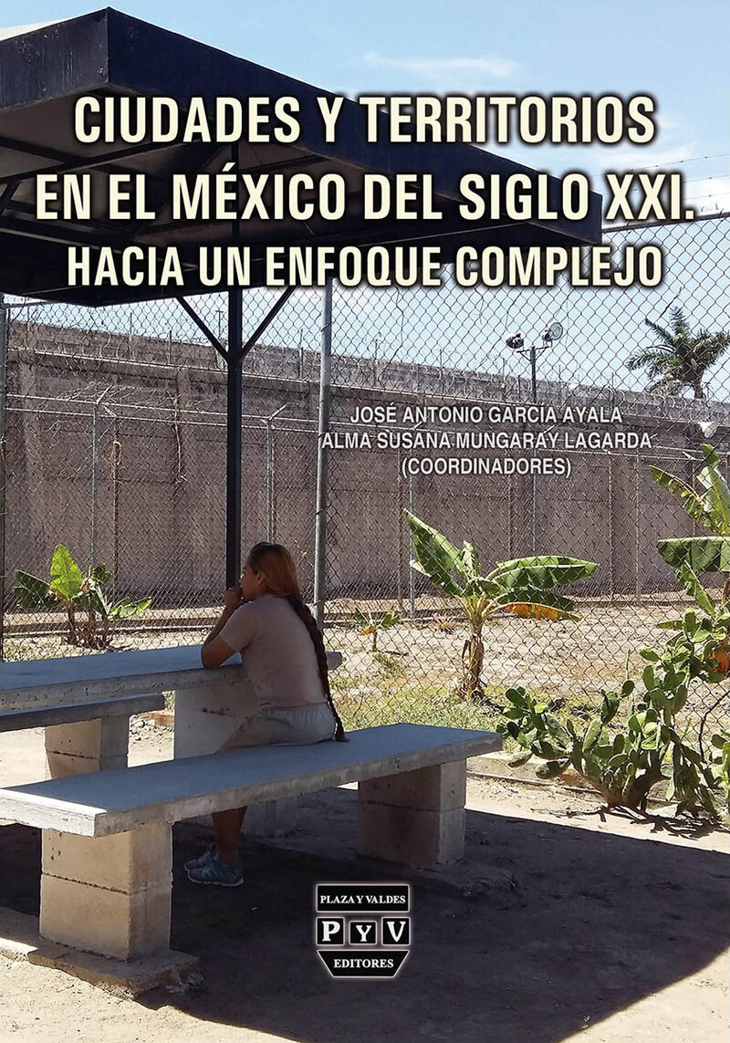 Portada de Ciudades y territorios en el Mexico del siglo XXI