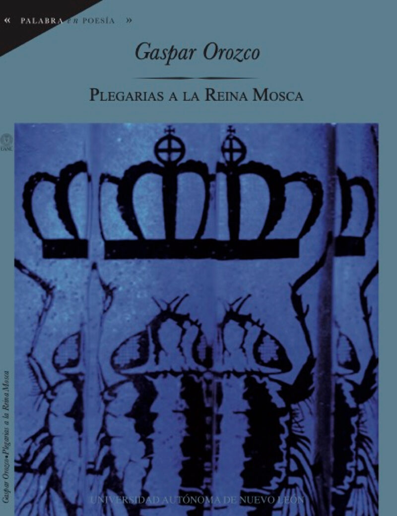 Portada de Plegarias a la Reina Mosca