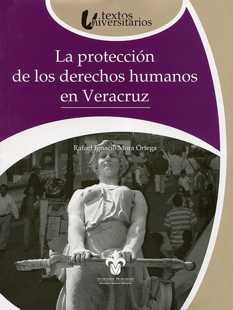 Portada de La protección de los derechos humanos en Veracruz