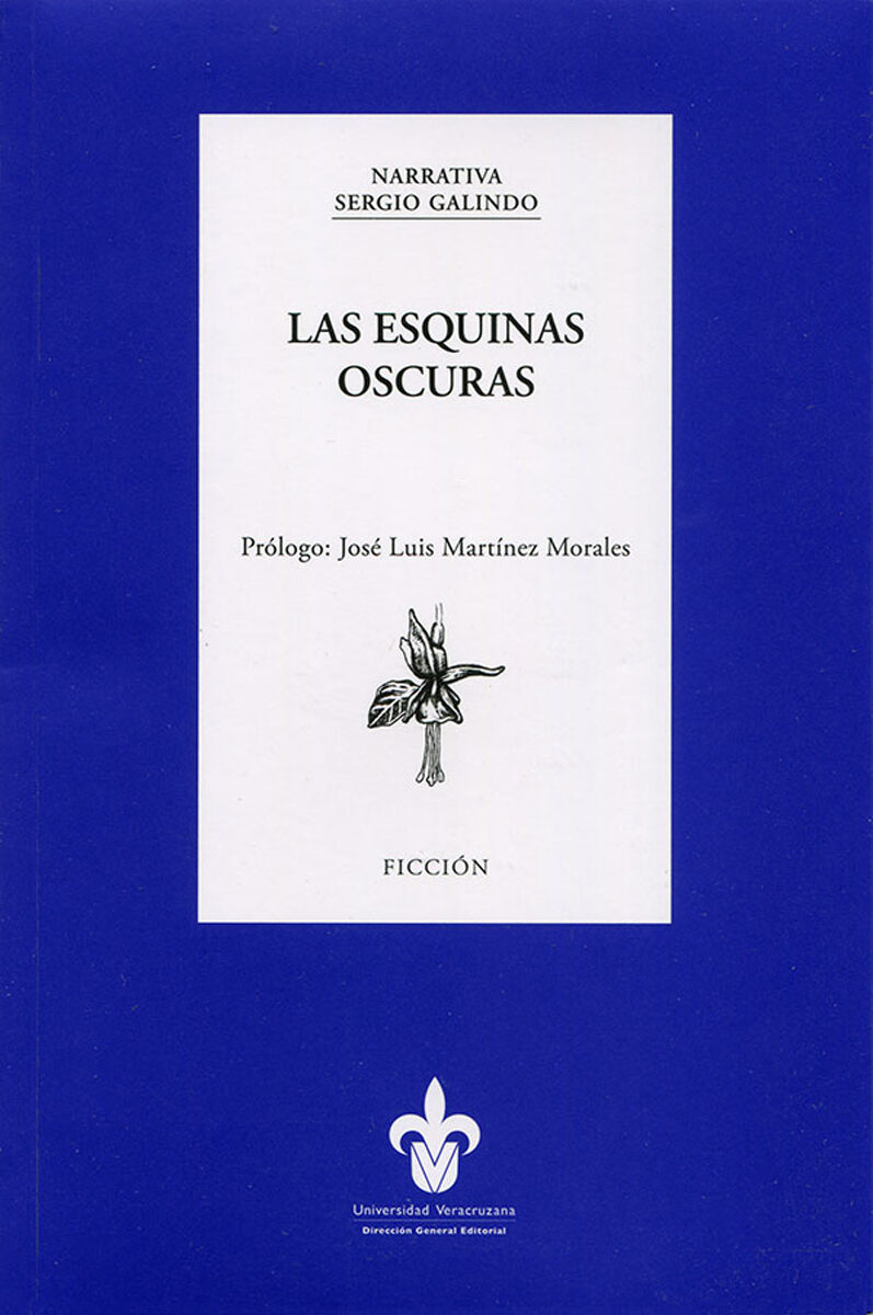Portada de Las esquinas oscuras