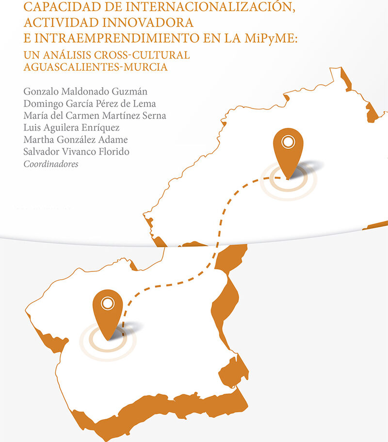 Portada de Capacidad de internacionalización,