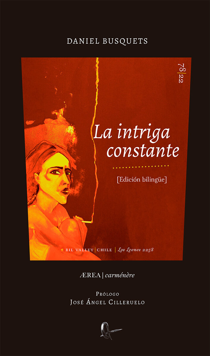 Portada de La intriga constante