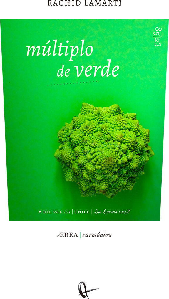 Portada de Múltiplo de verde · Rachid Lamarti