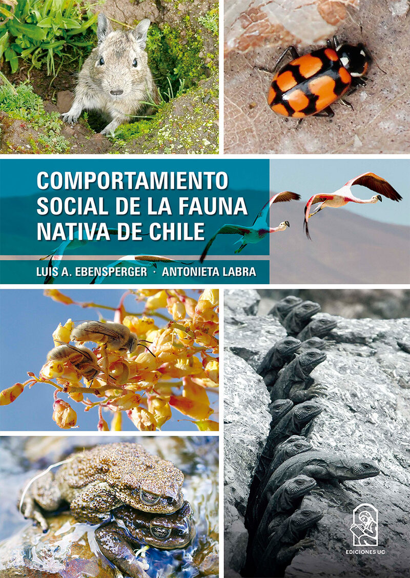 Portada de Comportamiento social de la fauna nativa de Chile · Luis A Ebensperger