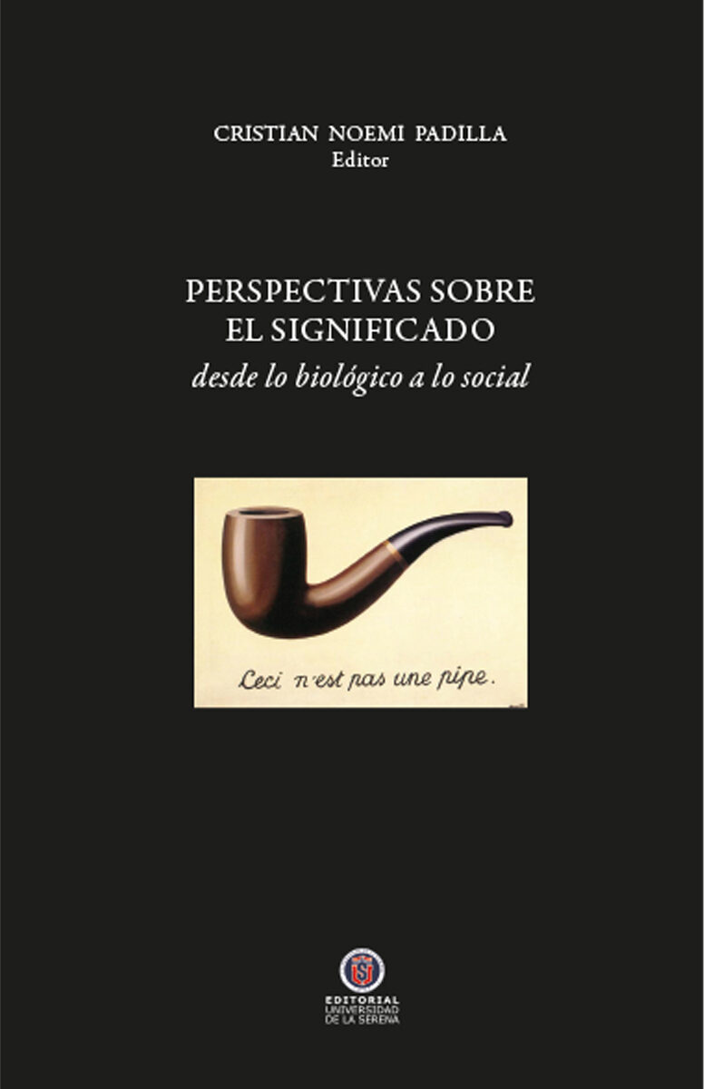 Portada de Perspectivas sobre el significado