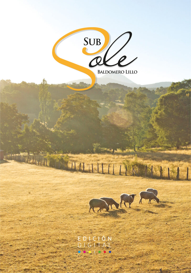 Portada de Subsole