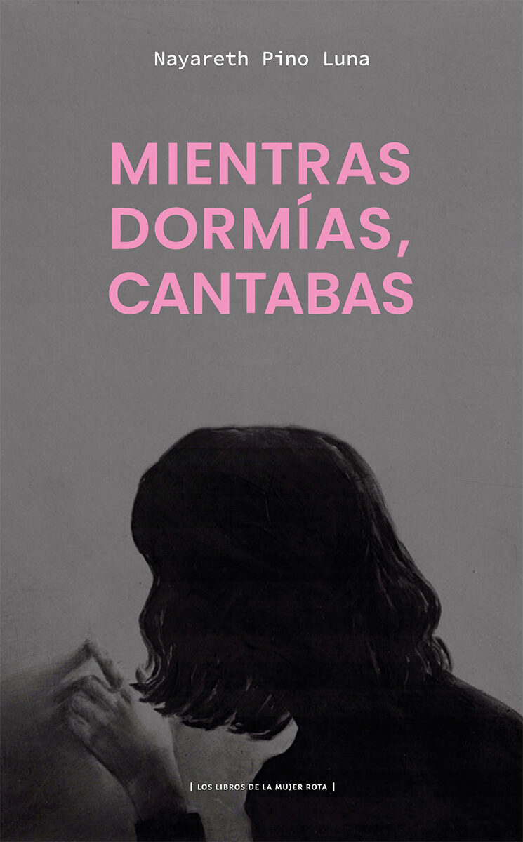 Portada de Mientras dormías, cantabas