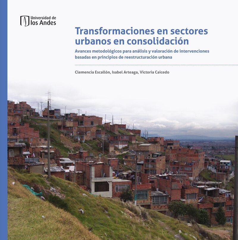 Portada de Transformaciones en sectores urbanos en consolidación