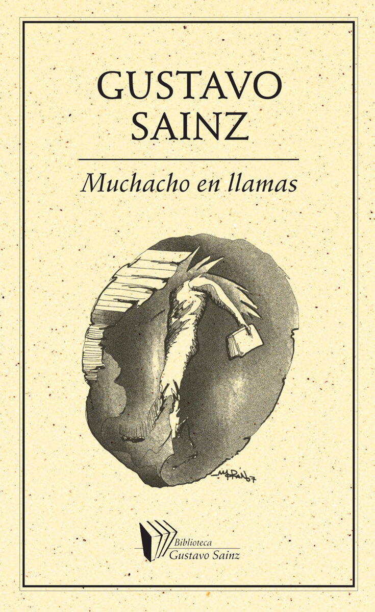 Portada de Muchacho en llamas