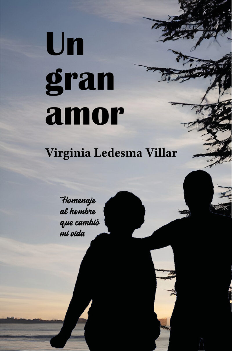 Portada de Un gran amor